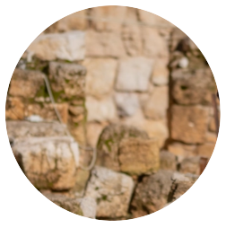 Professor Yuval Gadot